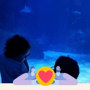 Meet your Posher, Elijah